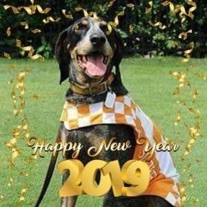 Meet your Posher, Marian